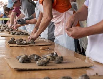 NC Oyster Festival Returns to Ocean Isle Beach Oct.&nbsp;16–18